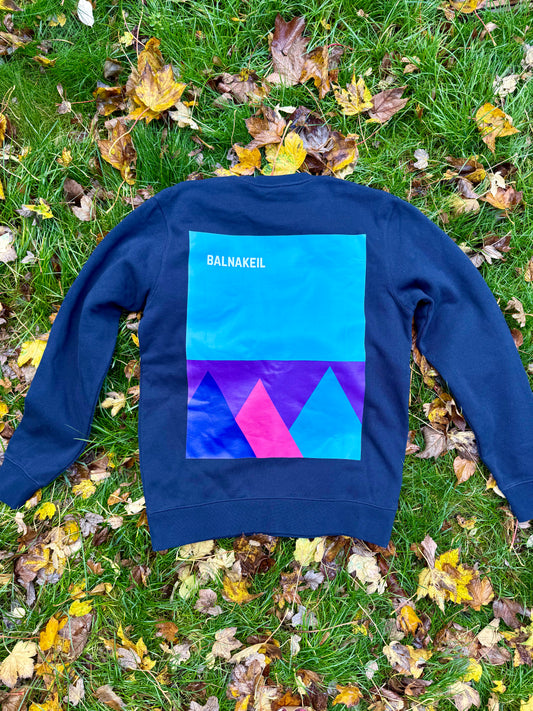 Blue sweatshirt with geometric design on grass and leaves