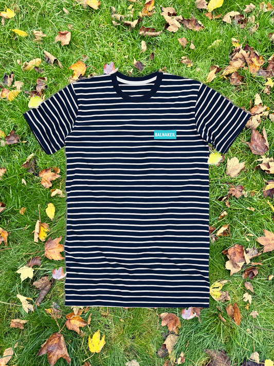 Summit Stripe Tee - Blue