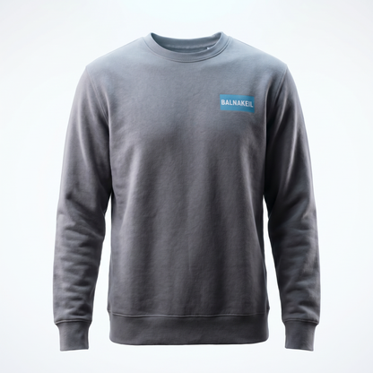 Gray sweatshirt with a blue logo on a white background