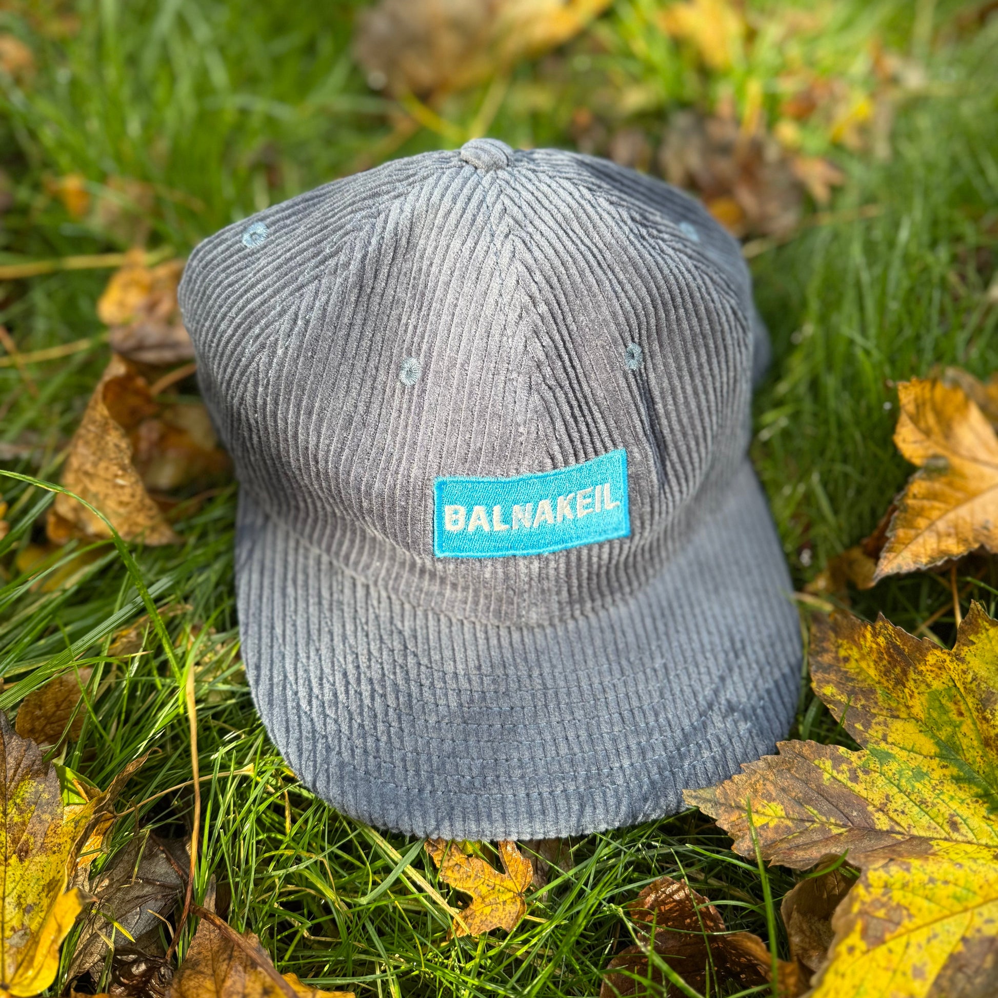 Grey cap with a blue label on grass and leaves