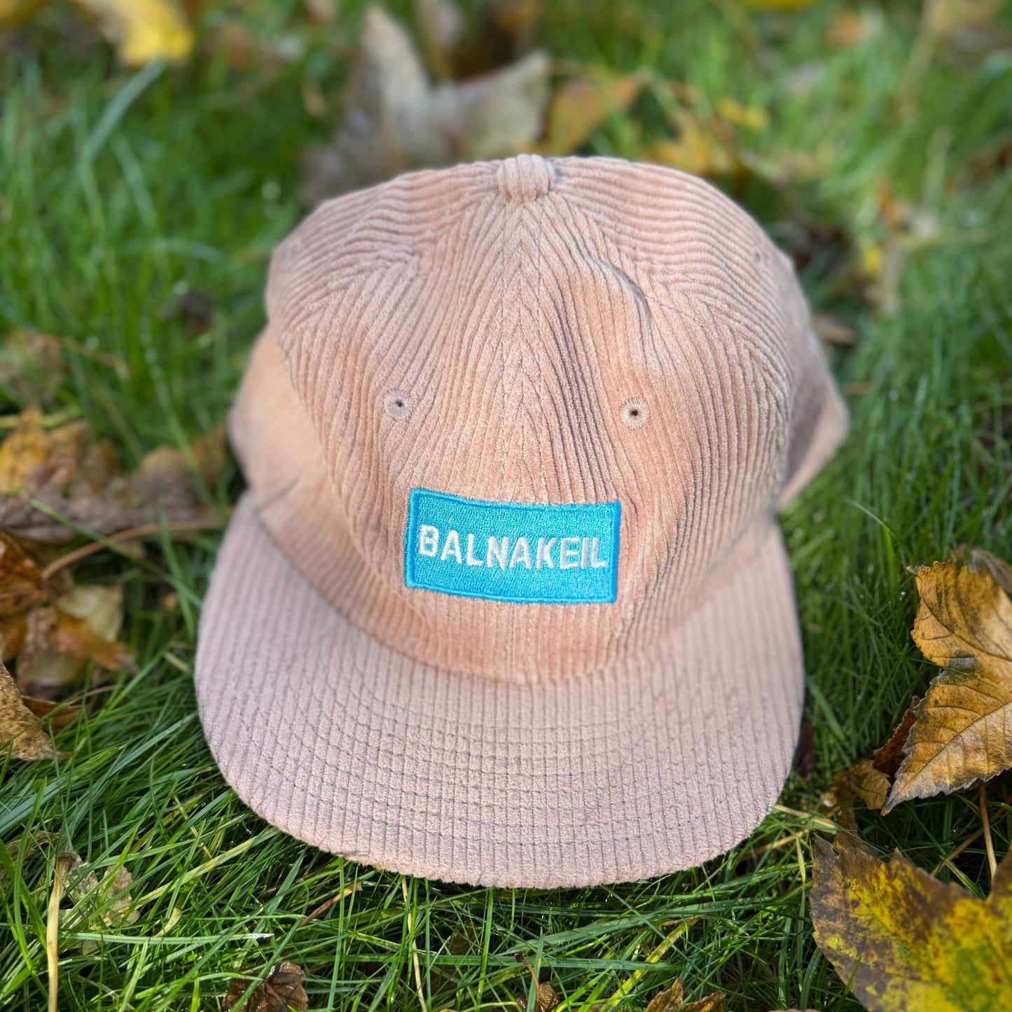 Pink cord baseball cap on grass with leaves.