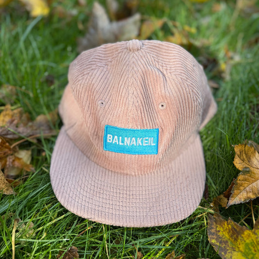 Pink cord baseball cap on grass with leaves.