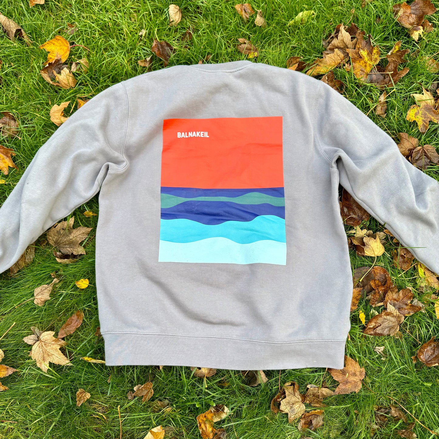Grey sweatshirt with a colorful graphic on grass with fallen leaves