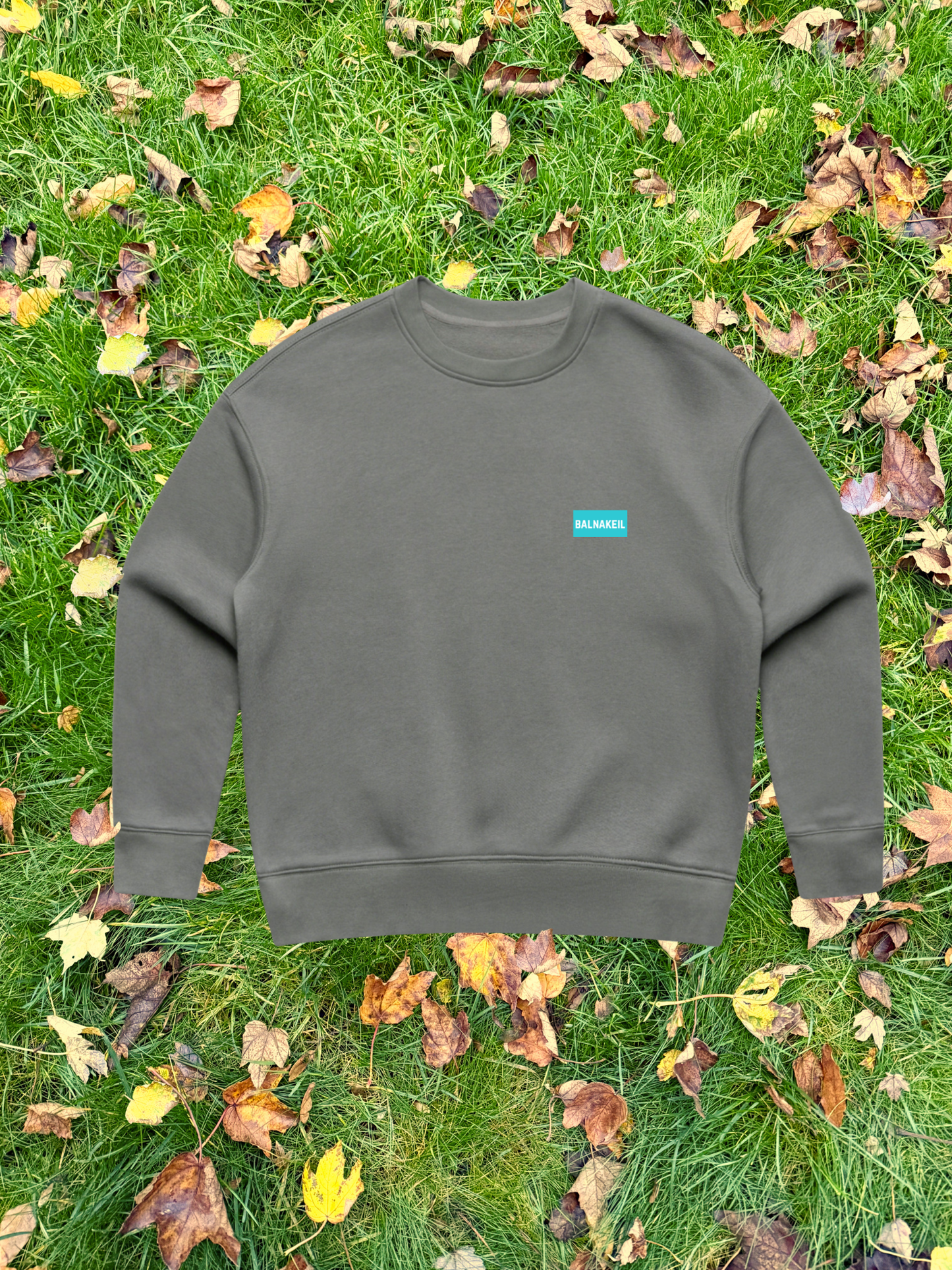 Gray sweatshirt with a logo on grass with fallen leaves