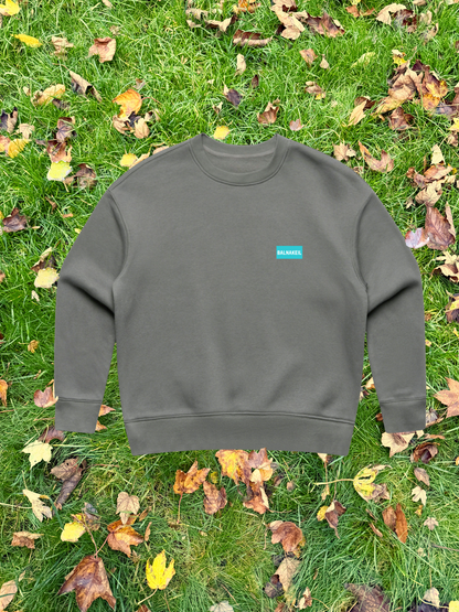 Gray sweatshirt with a logo on grass with fallen leaves