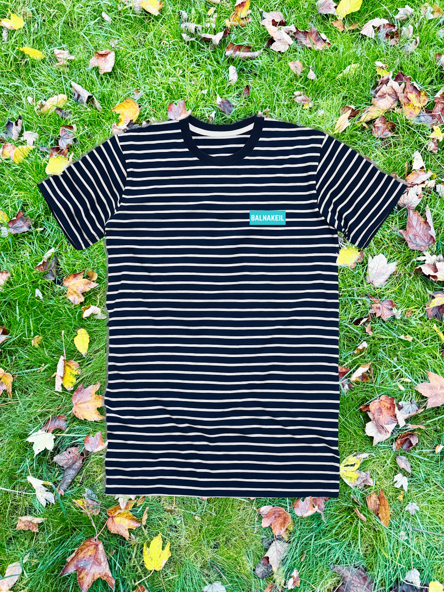Summit Stripe Tee - Blue
