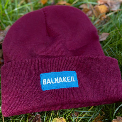 Plum beanie with a blue label on grass with fallen leaves